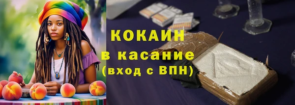 тгк Дмитриев