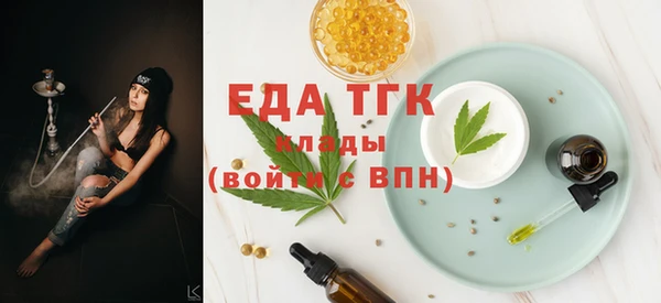 тгк Дмитриев