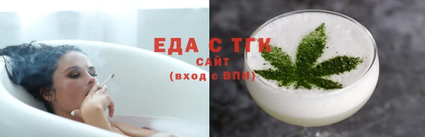 тгк Дмитриев