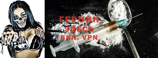 тгк Дмитриев