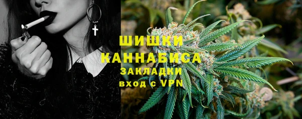 тгк Дмитриев