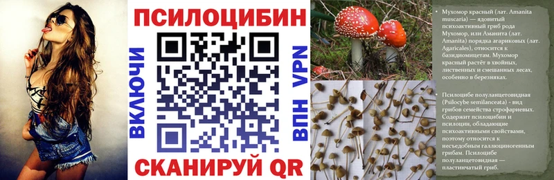 Галлюциногенные грибы ЛСД  Купить закладки  Углегорск 
